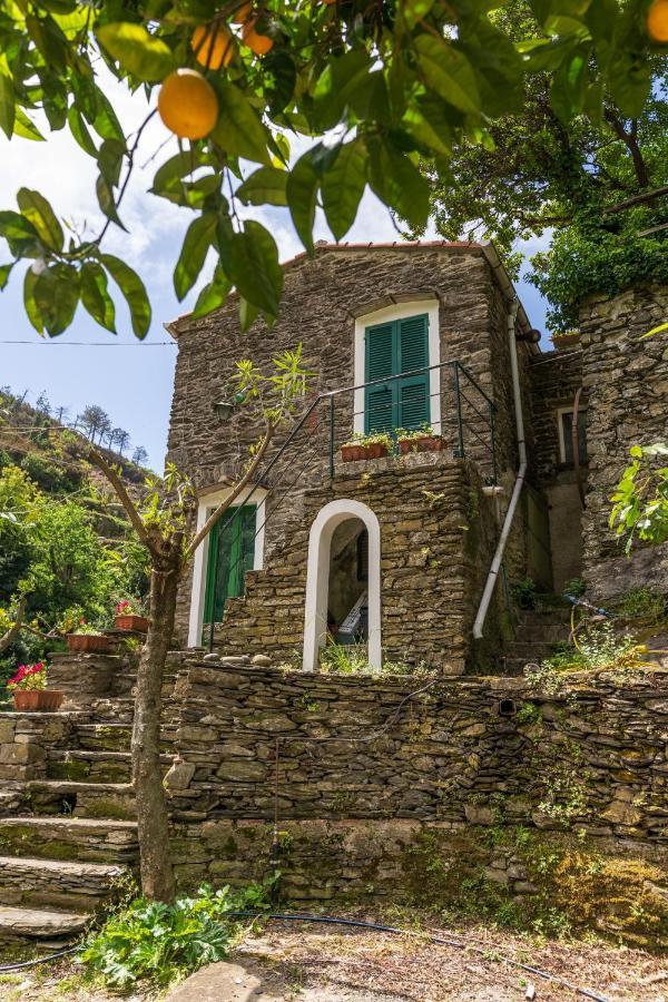 Villa Smith Vernazza Bagian luar foto